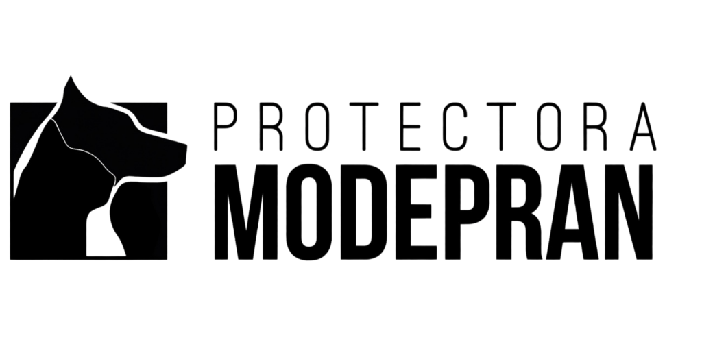 fydg7-Photoroom